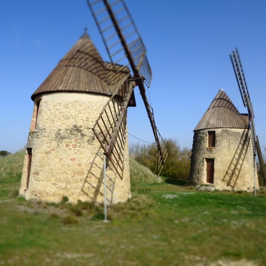 Bed and Breakfast L'Oustal Des Fontanilles Кастельнодарі Екстер'єр фото
